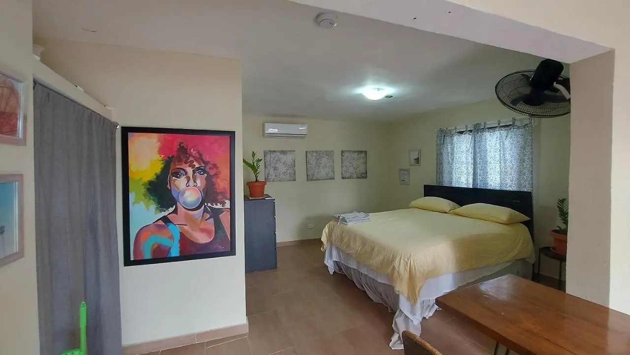 Casa Kamanda, Zona Colonial, Santo Domingo公寓